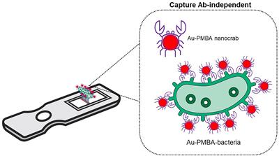 Advances, applications, and limitations of portable and rapid detection technologies for routinely encountered foodborne pathogens